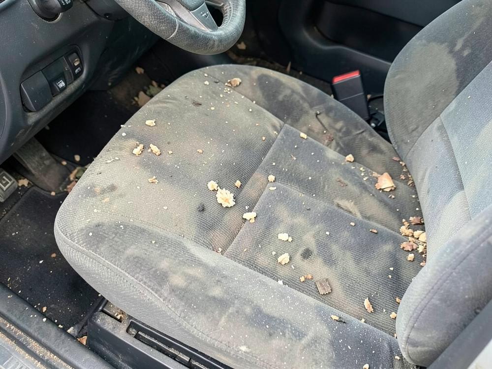 Verschmutzte Autositze vor der Innenraumaufbereitung